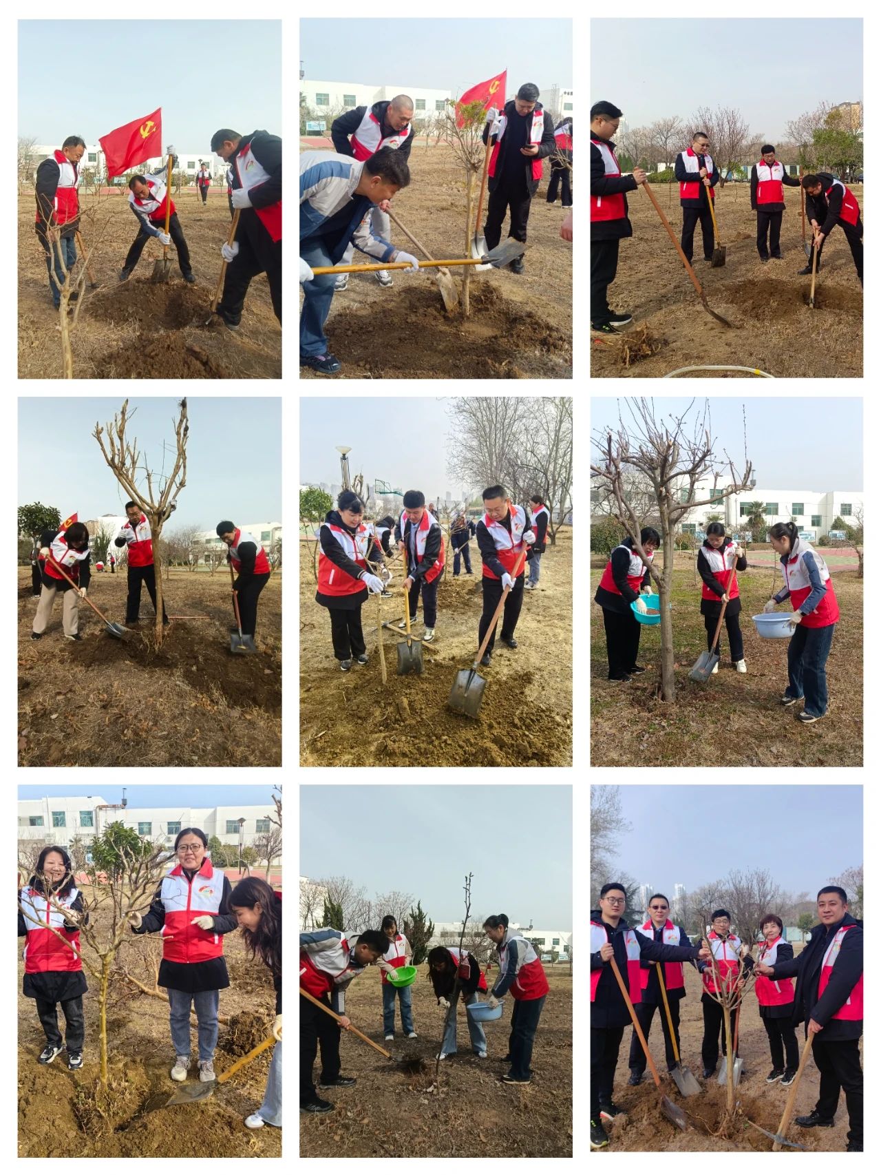 1742203335530058993.jpg 1742203335530058993.jpg